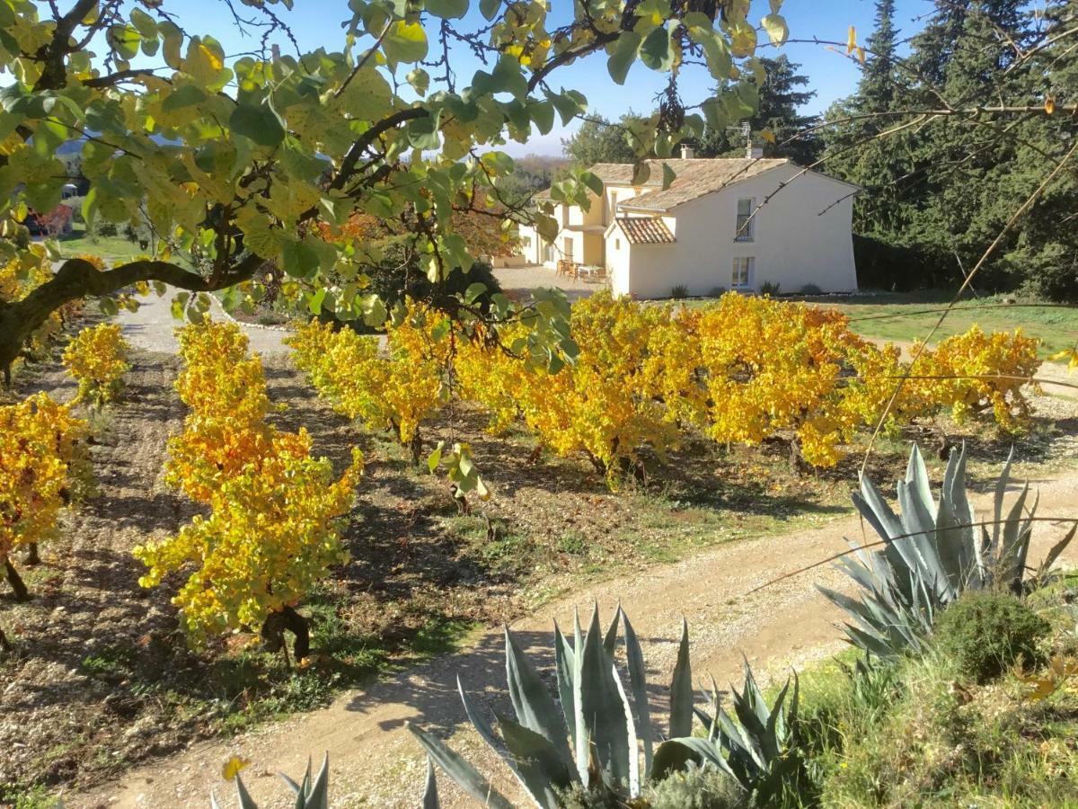 مبيت وإفطار Mirabel-aux-Baronnies Mon Chemin Prive المظهر الخارجي الصورة